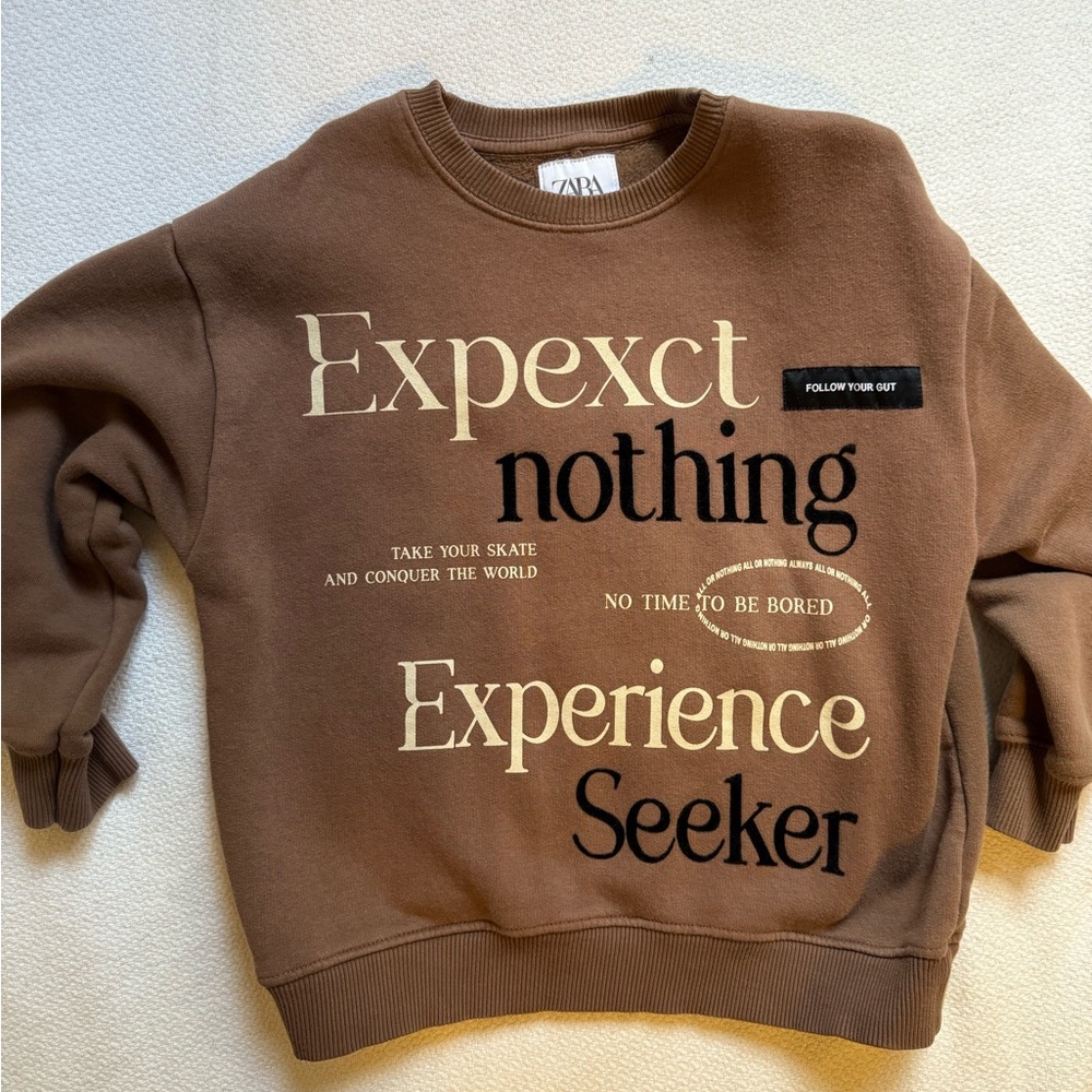 Zara Brown sweatshirt